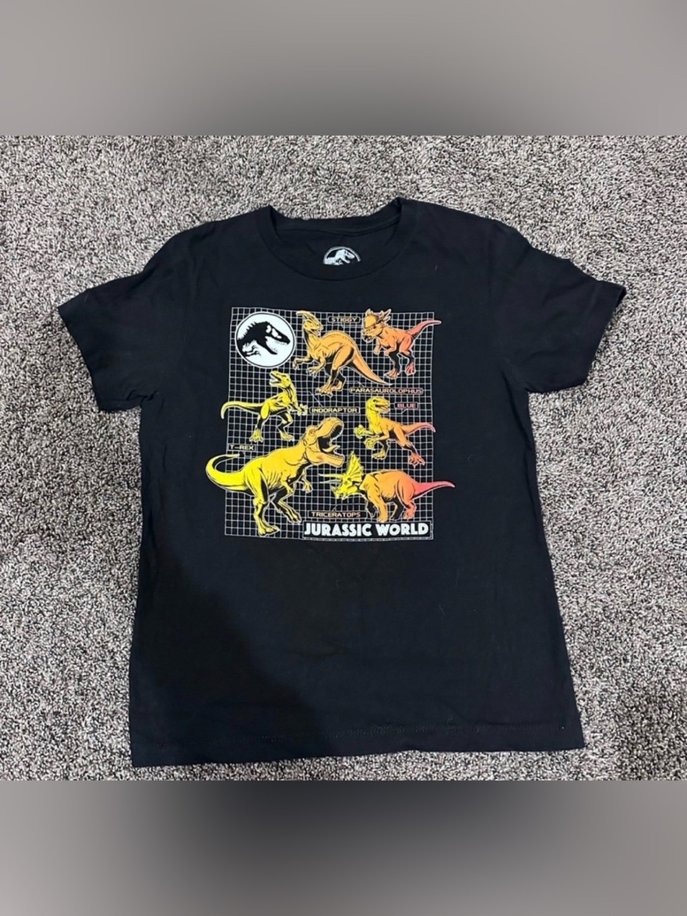 Jurassic Park Kids Shirt Size Small 0006